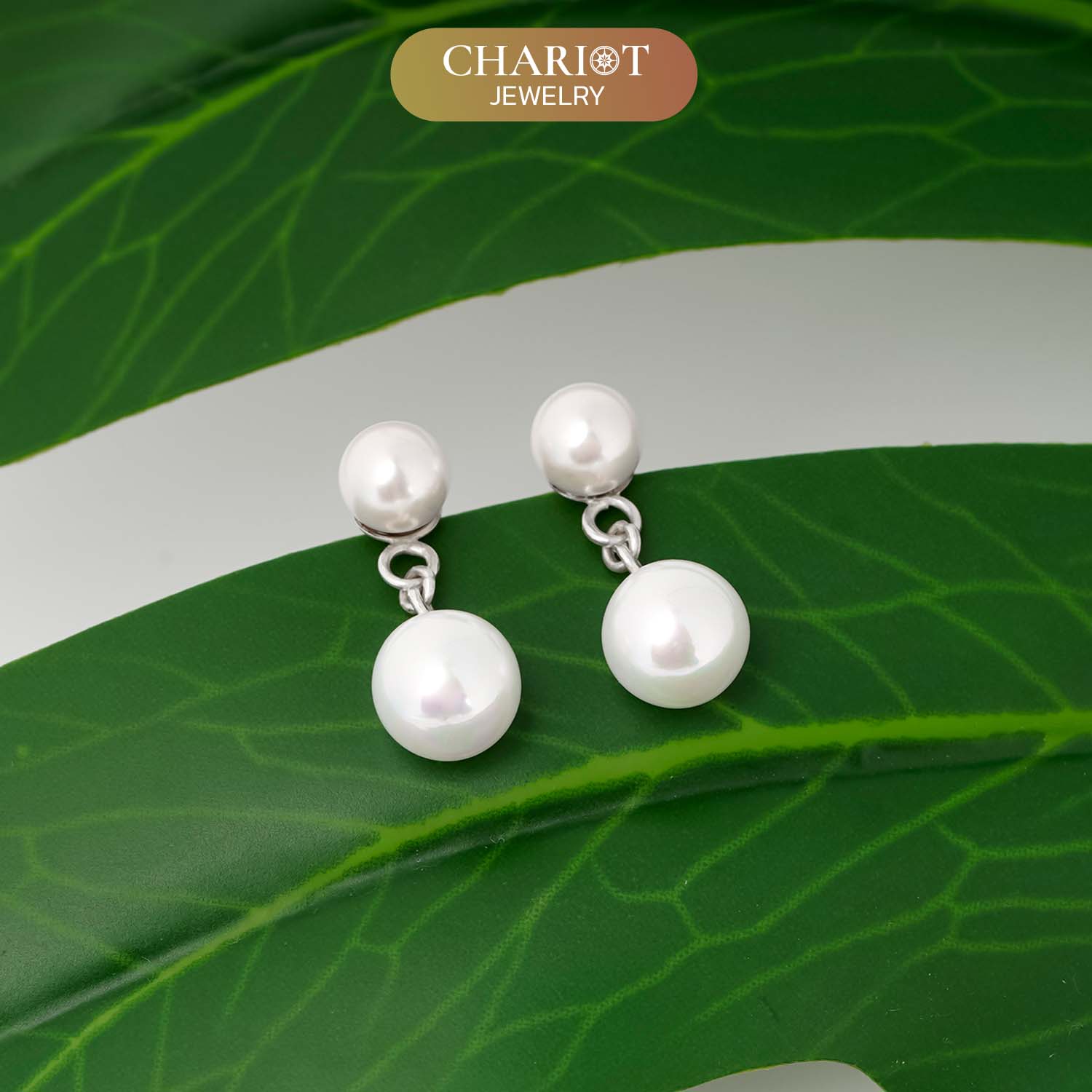 Elegant Pearl Earrings
