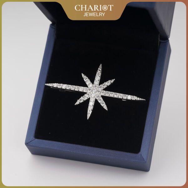 Brooch a ray of hope