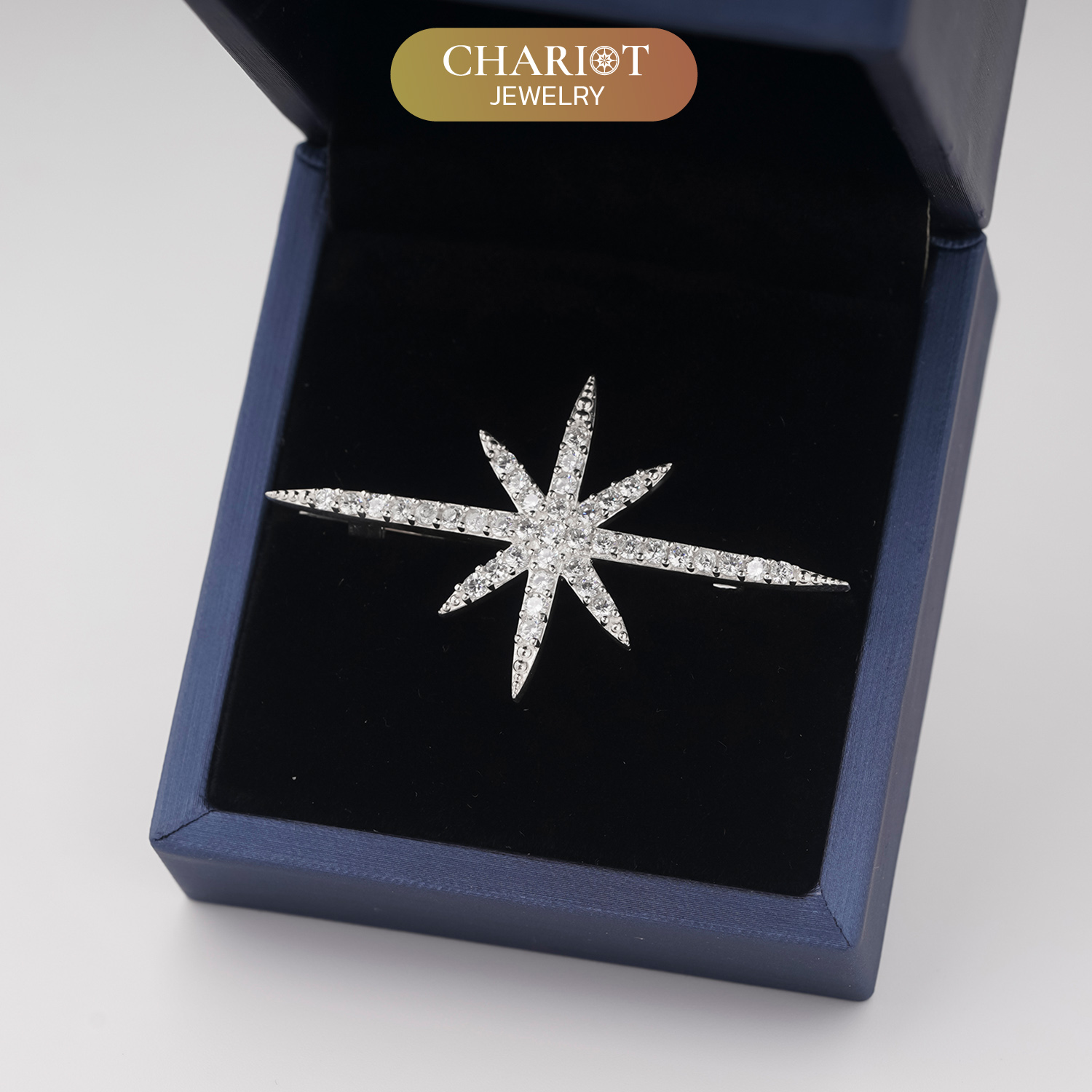 Brooch a ray of hope