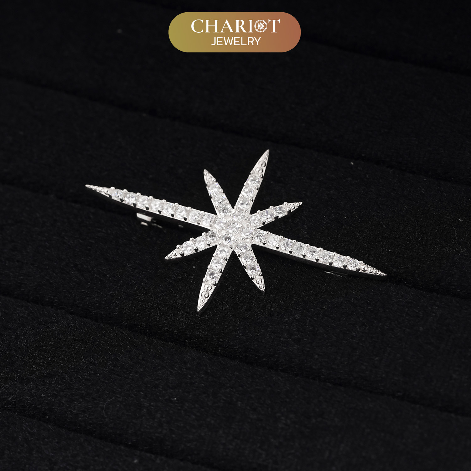 Brooch a ray of hope