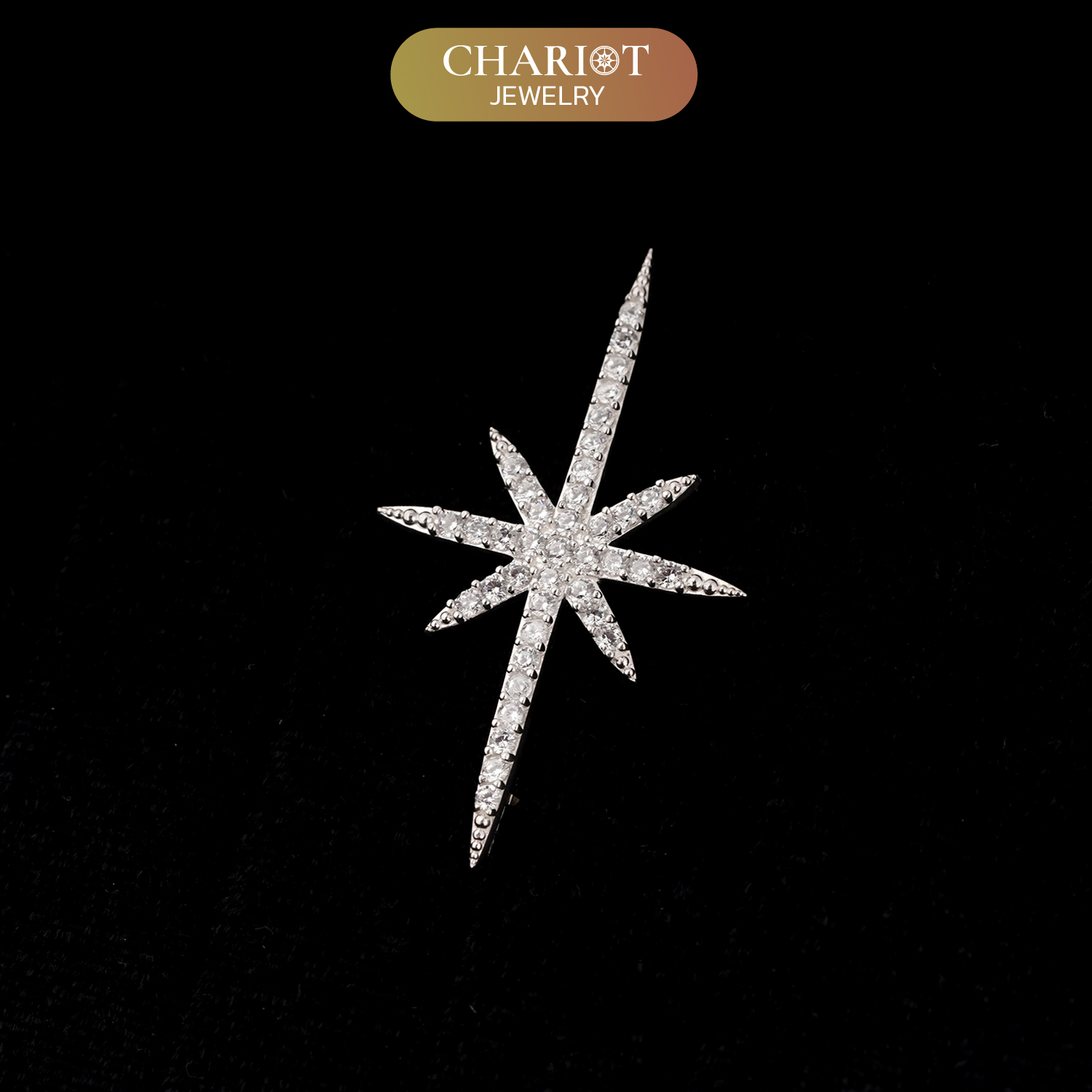 Brooch a ray of hope