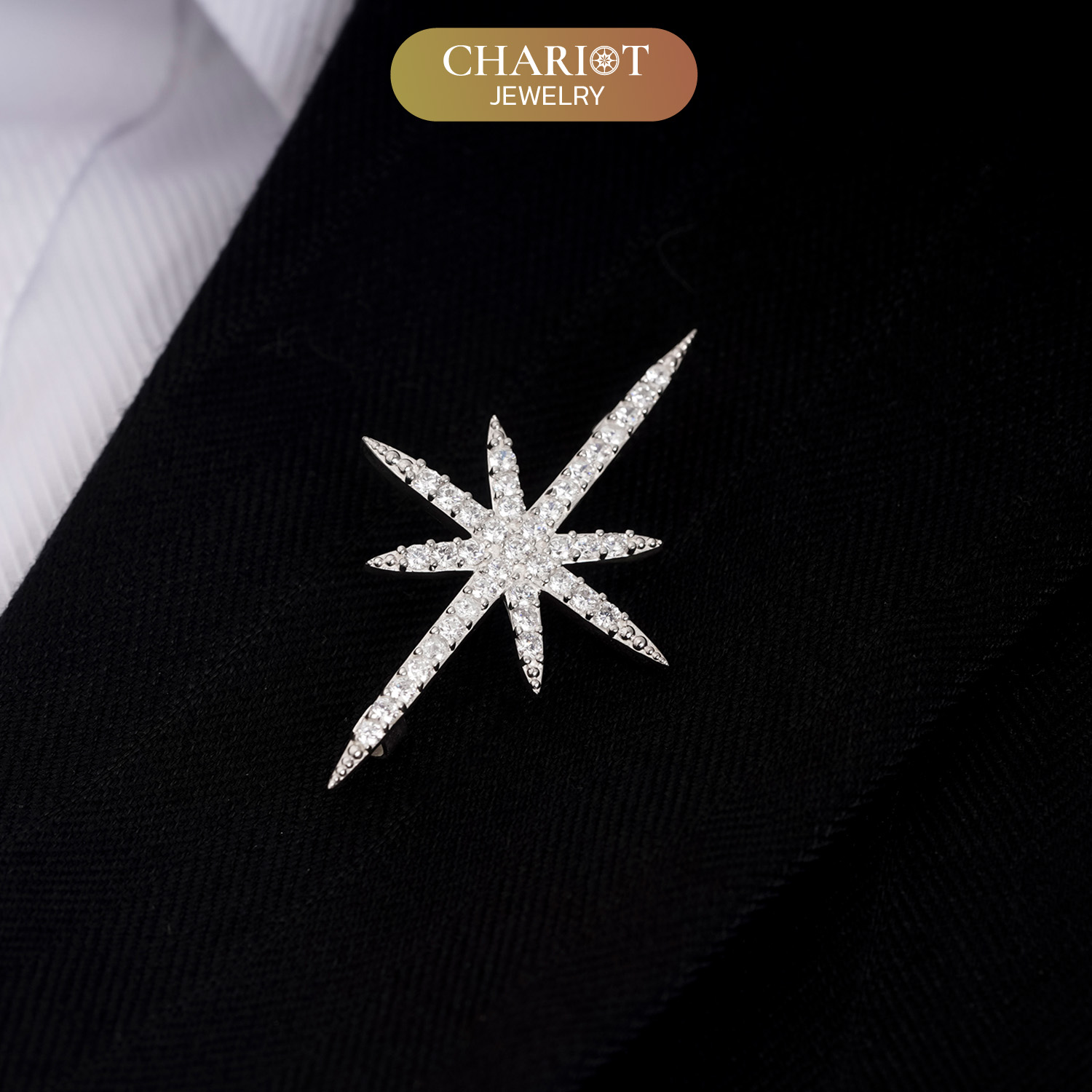 Brooch a ray of hope