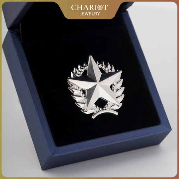 Glory Star Lapel Pin