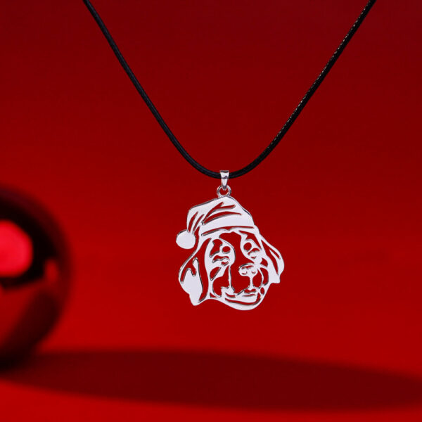 Bernese Mountain Dog (dogs) Canis lupus familiaris