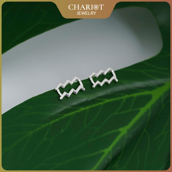 Zodiac Sign Earrings