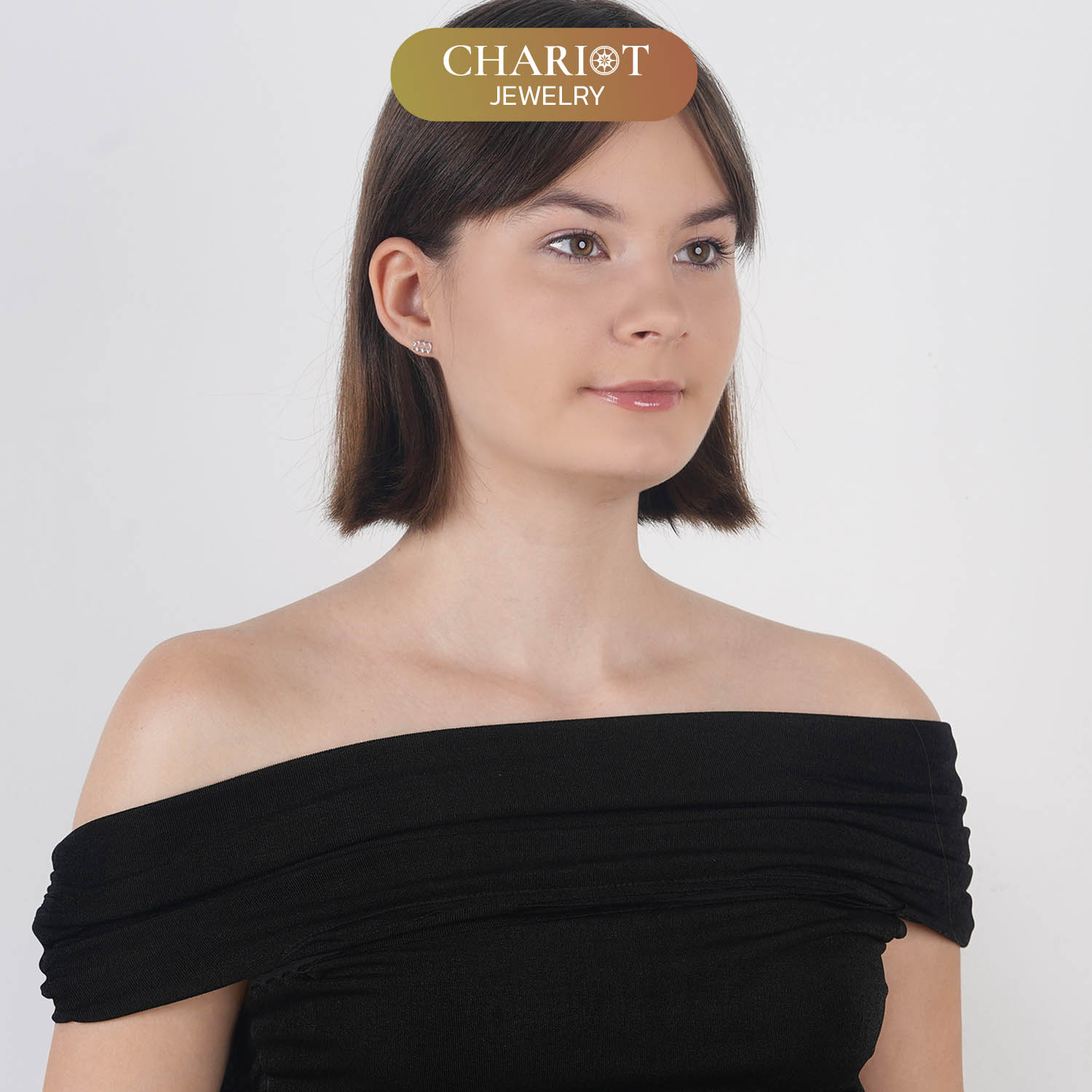 Zodiac Sign Earrings