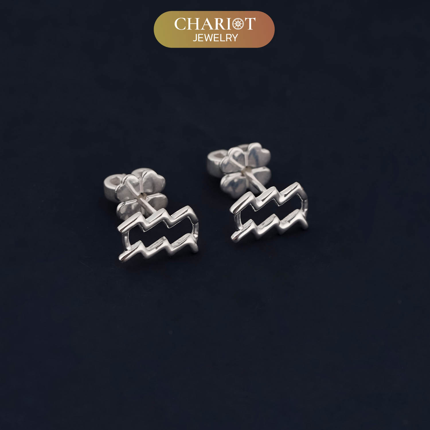 Zodiac Sign Earrings