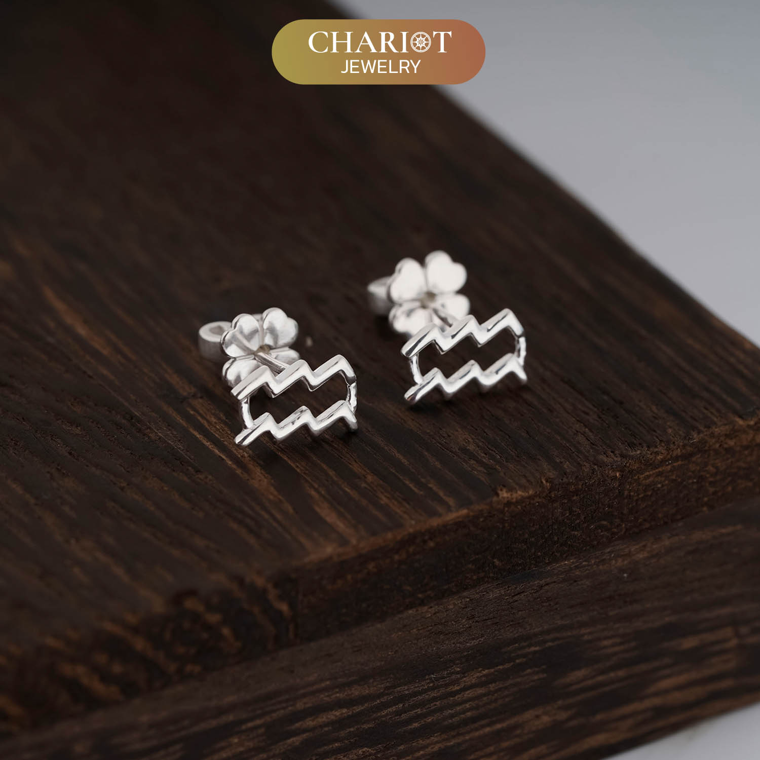 Zodiac Sign Earrings