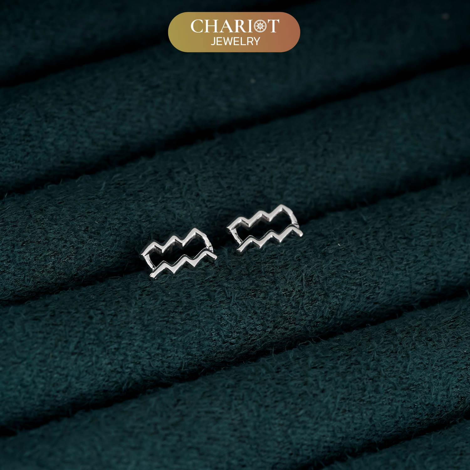 Zodiac Sign Earrings