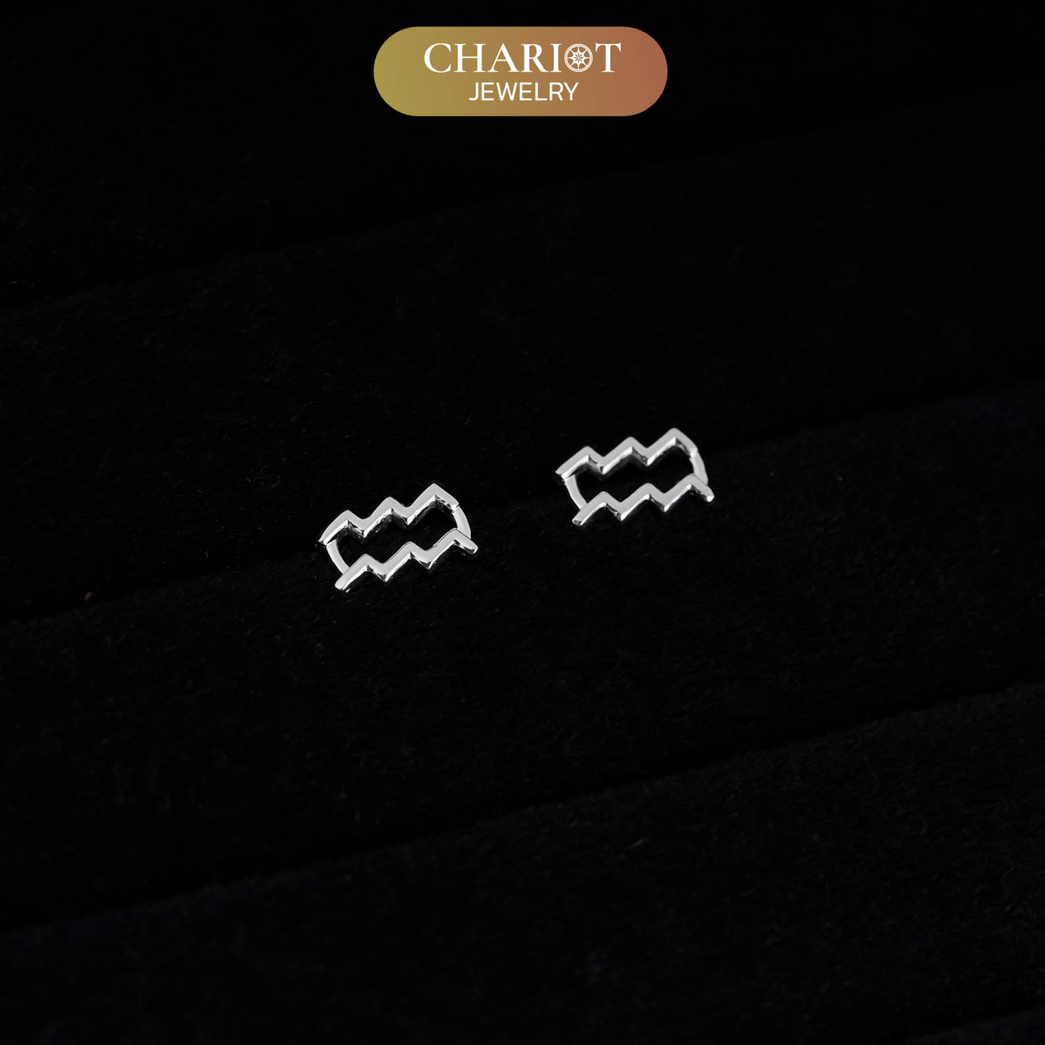 Zodiac Sign Earrings