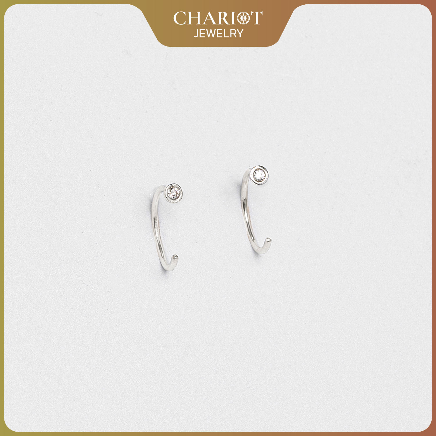 Round Stone Earrings