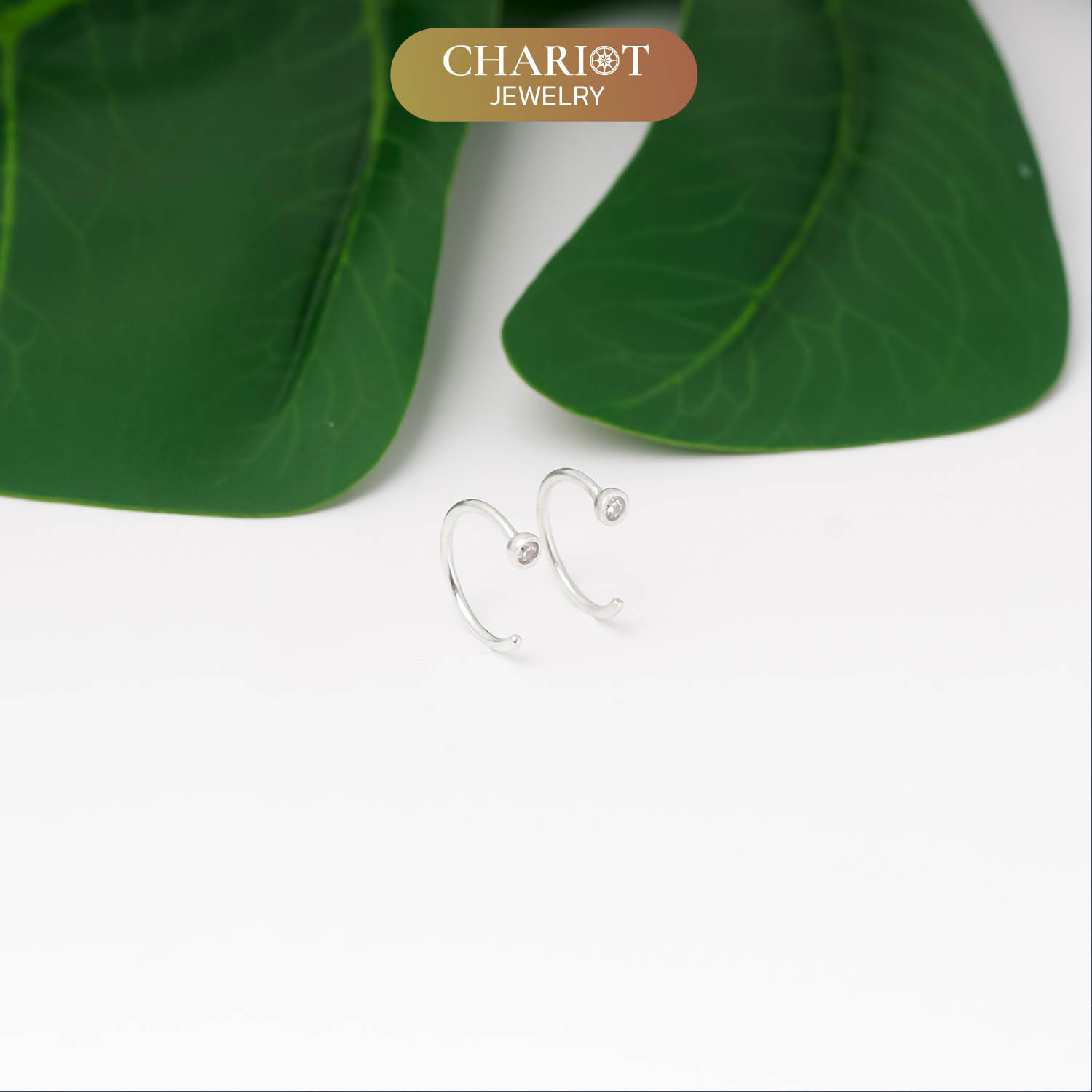 Round Stone Earrings