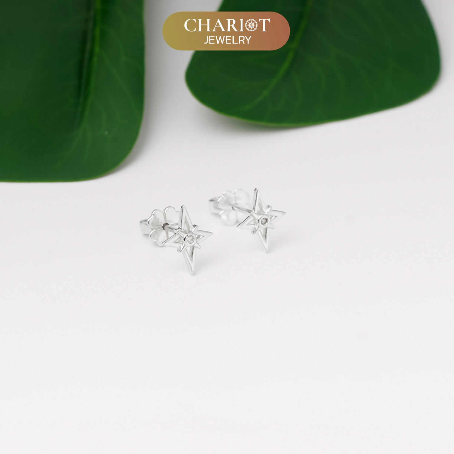 Dainty Star Earrings