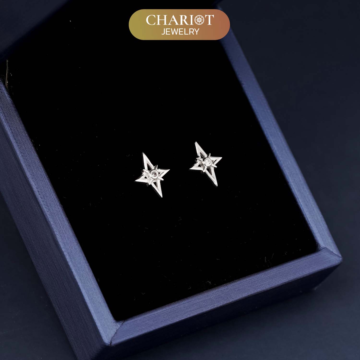 Dainty Star Earrings