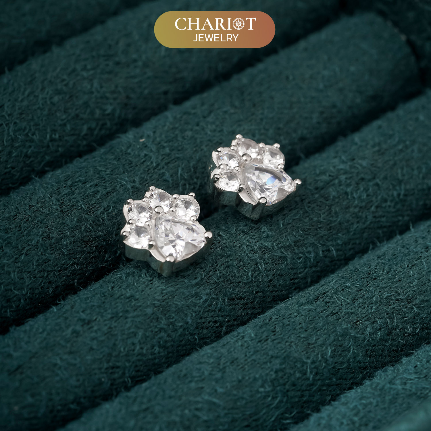 Pet Footprint Earrings