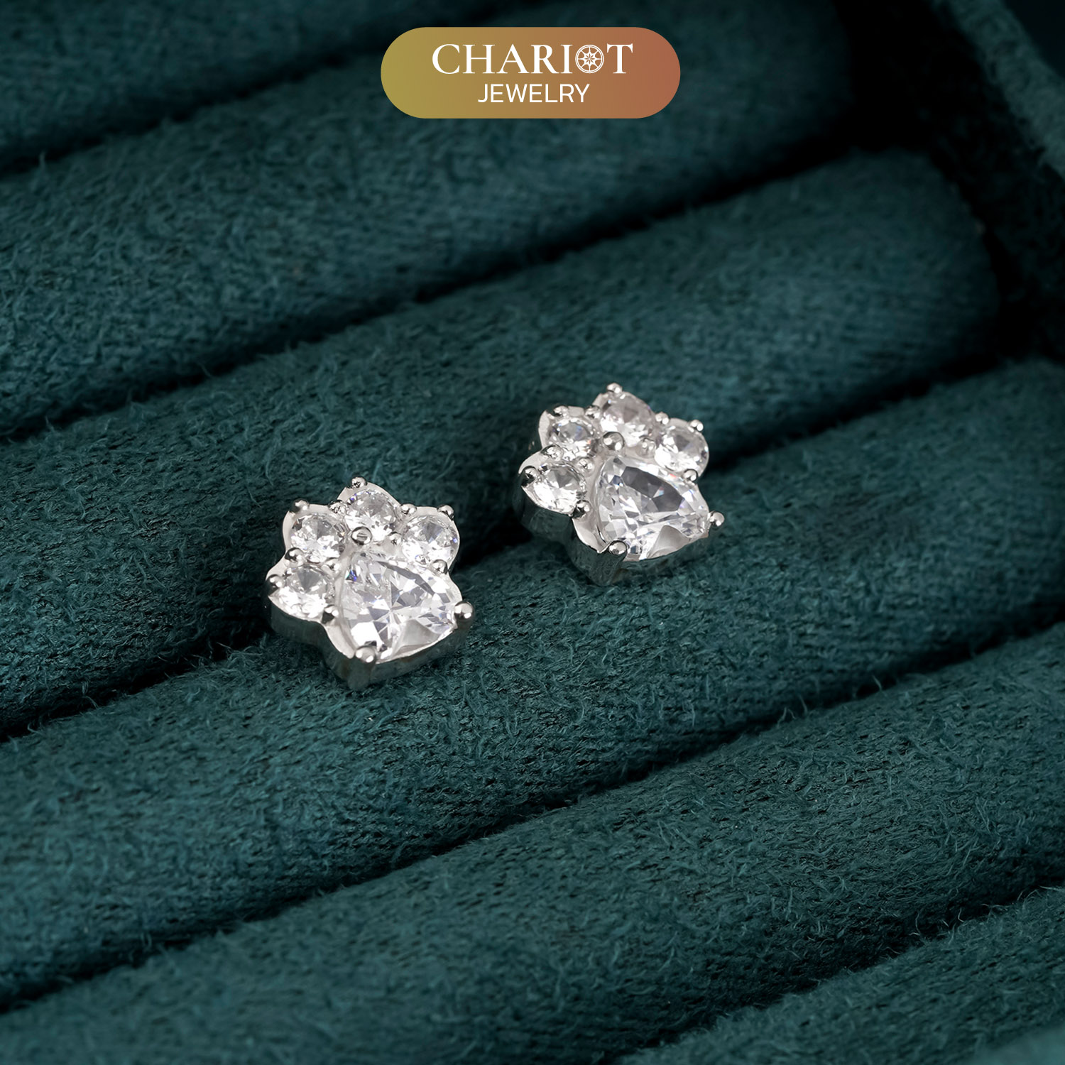 Pet Footprint Earrings