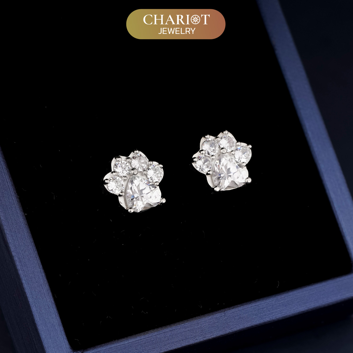 Pet Footprint Earrings