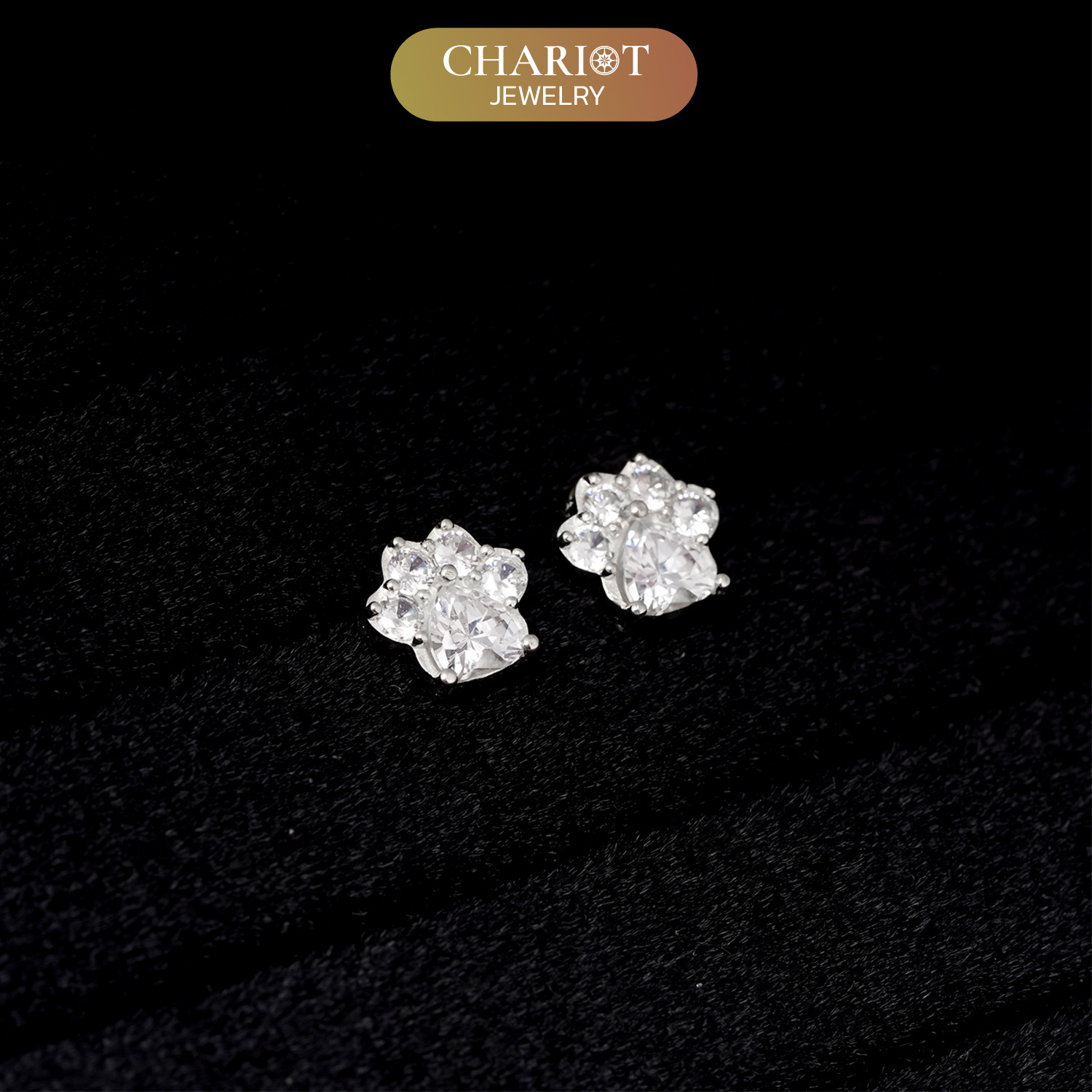 Pet Footprint Earrings