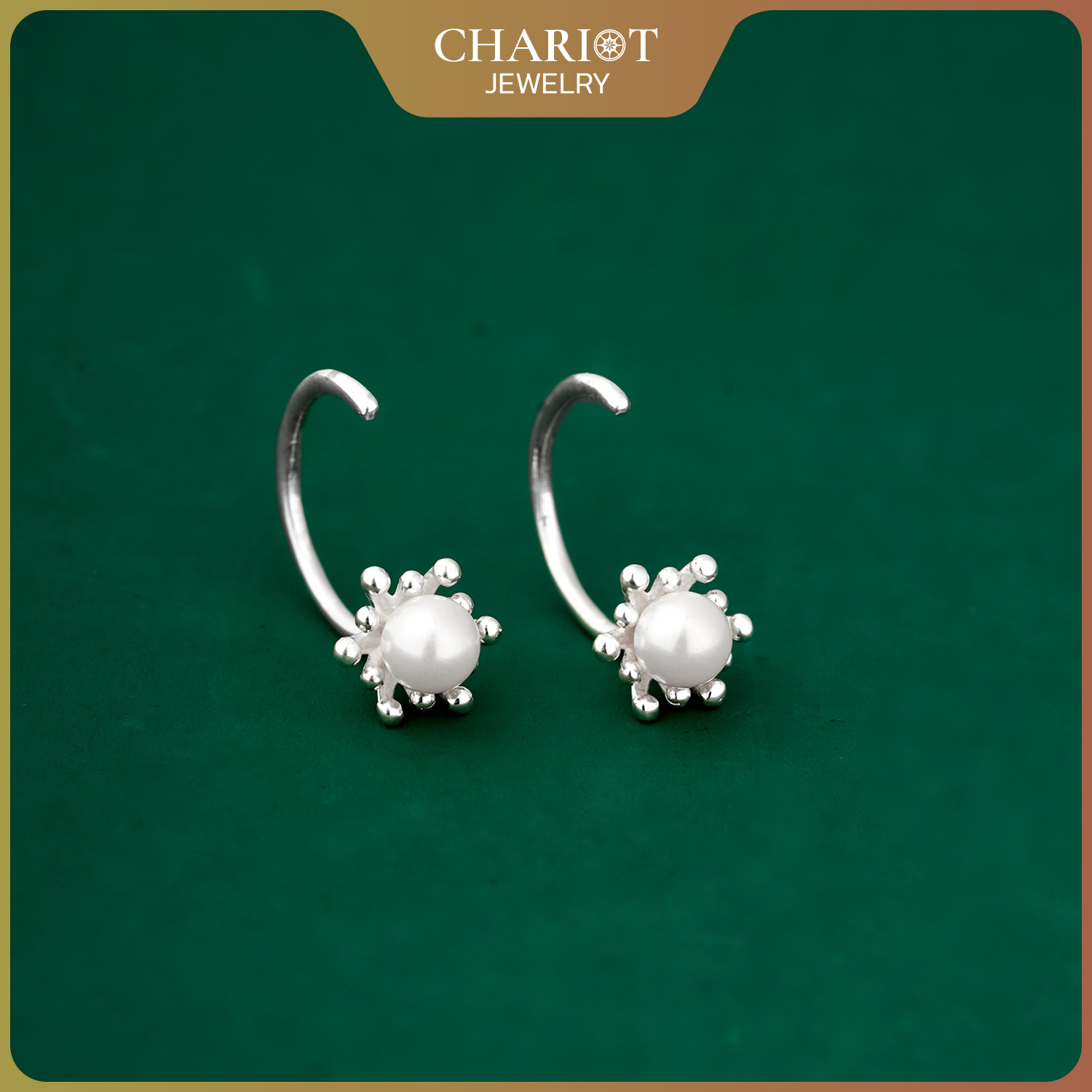 Delicate Dewdrop Earrings