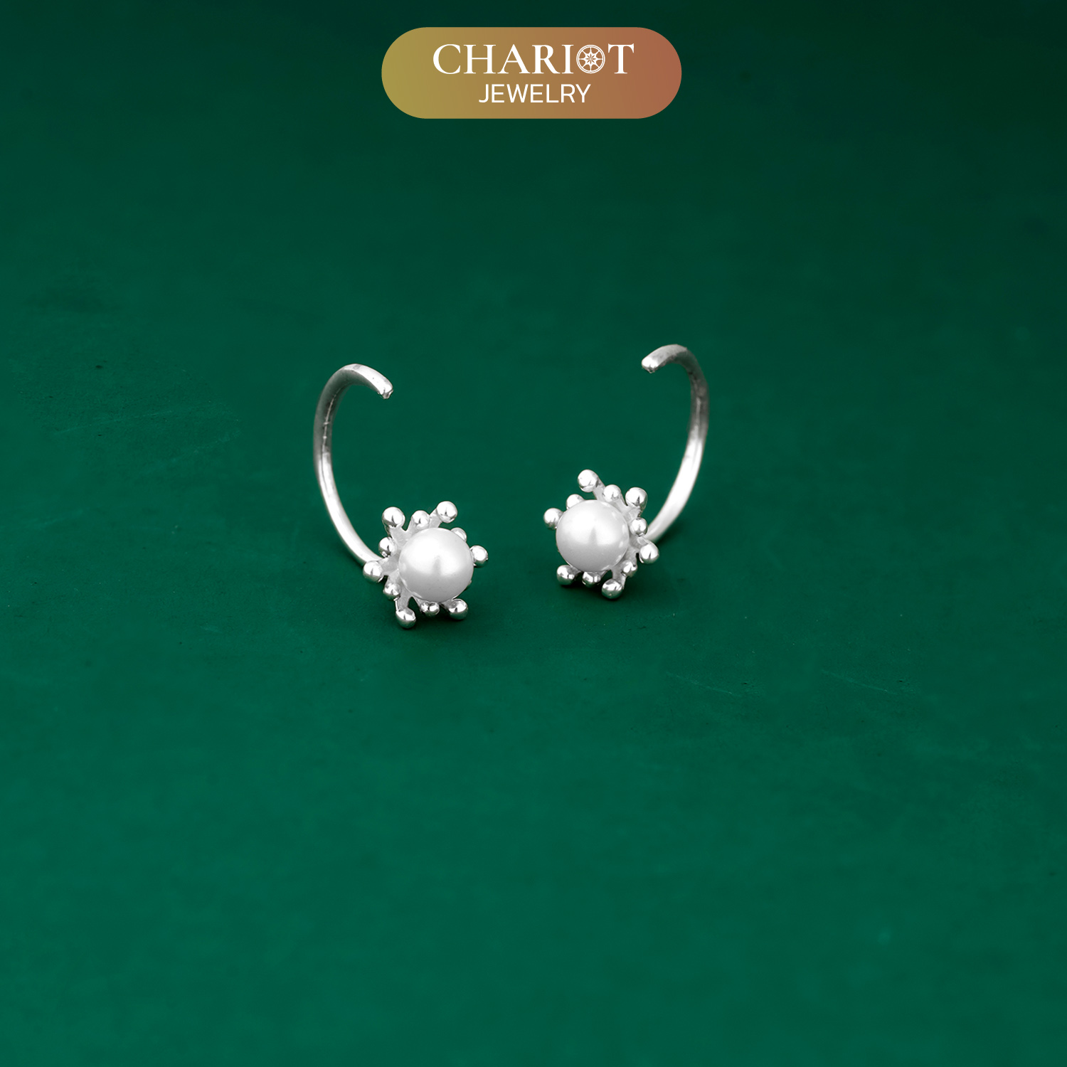 Delicate Dewdrop Earrings